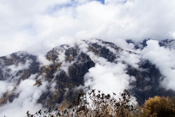 Cotswolds on a Budget: Clever Ways Tourists Can Save Big on Accommodation